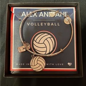 alex and ani charm volleyball bracelet